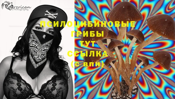 PSILOCYBIN Няндома