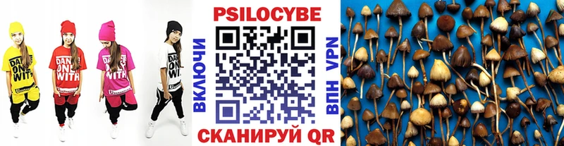 Галлюциногенные грибы мухоморы Надым