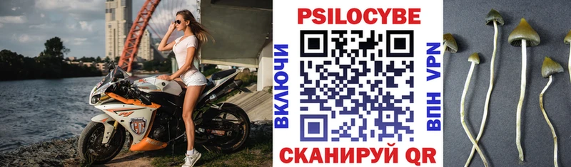 Псилоцибиновые грибы GOLDEN TEACHER  сайты даркнета формула  Надым 