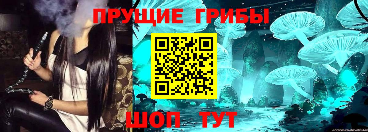 Галлюциногенные грибы прущие грибы Надым