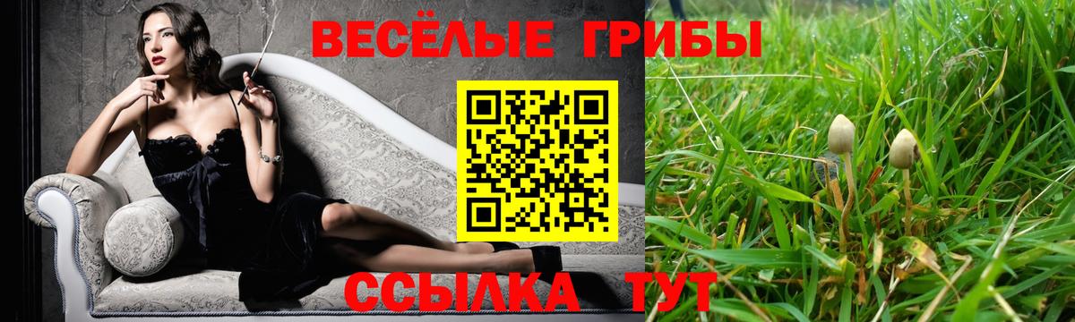 Псилоцибиновые грибы прущие грибы Надым