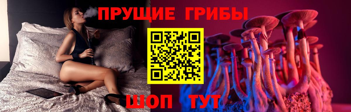 Надым  Псилоцибиновые грибы прущие грибы  закладка  Вход с VPN 